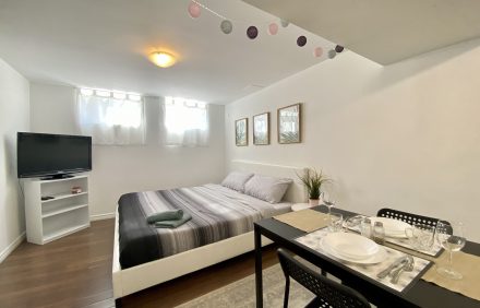 ENTIRE BASEMENT SUITE WITH KING BED AND FAST WIFI