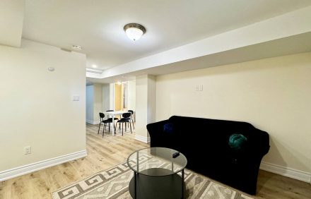 Newly Renovated Basement Suite in Richmond Hill