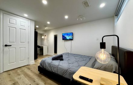 Newly Renovated Basement Studio